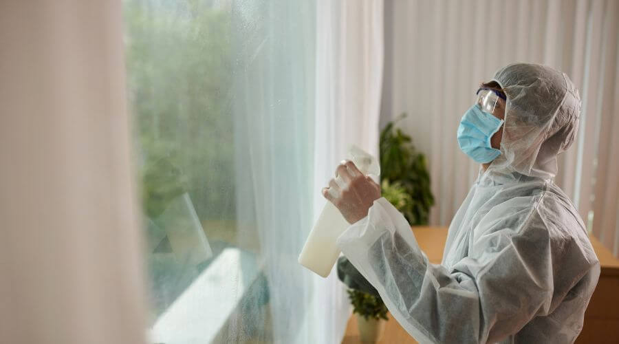Why choose Dallas Raccoon Removal for raccoon removal in Dallas